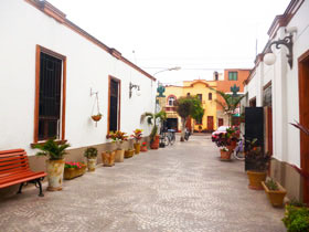 Acallelapunta